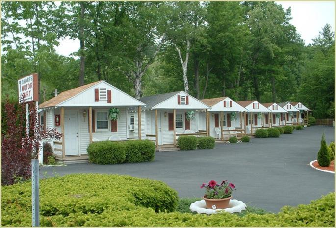Seven Dwarfs Motel & Cabins เลคจอร์จ ภายนอก รูปภาพ